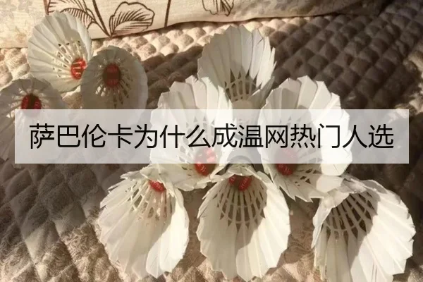 萨巴伦卡为什么成温网热门人选